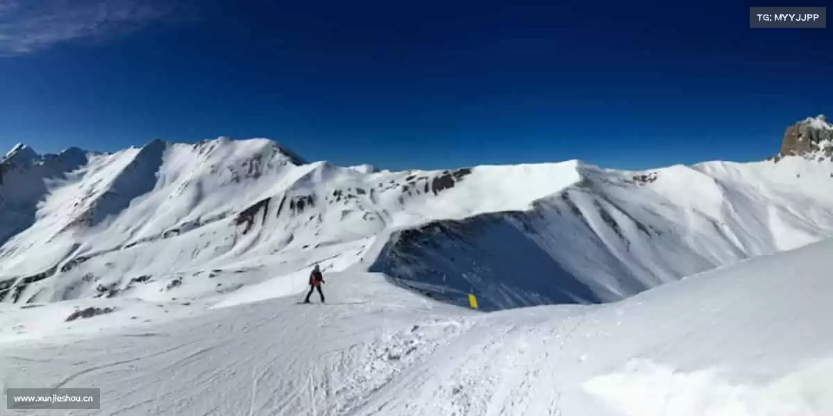 我们的品牌价值